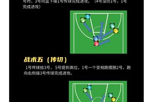 高中篮球技术和战术训练手册